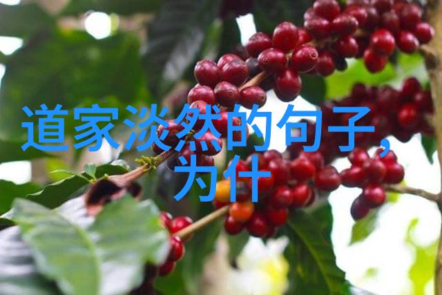 开天眼之谜出道弟子如何突破平凡