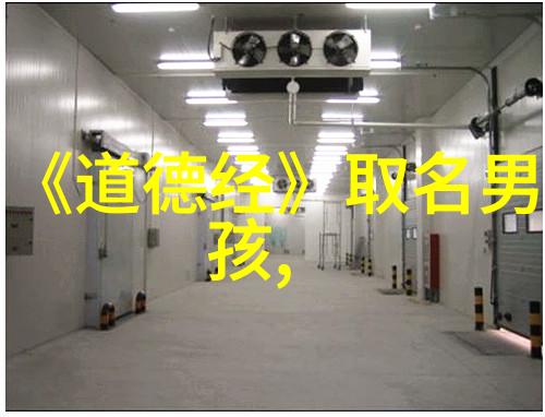道家呼吸吐纳法(完整版)-通晓天地深入探究道家呼吸吐纳法的奥秘