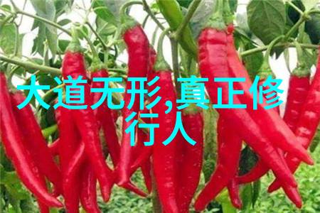 如何自学道家法术别让修仙梦远离你