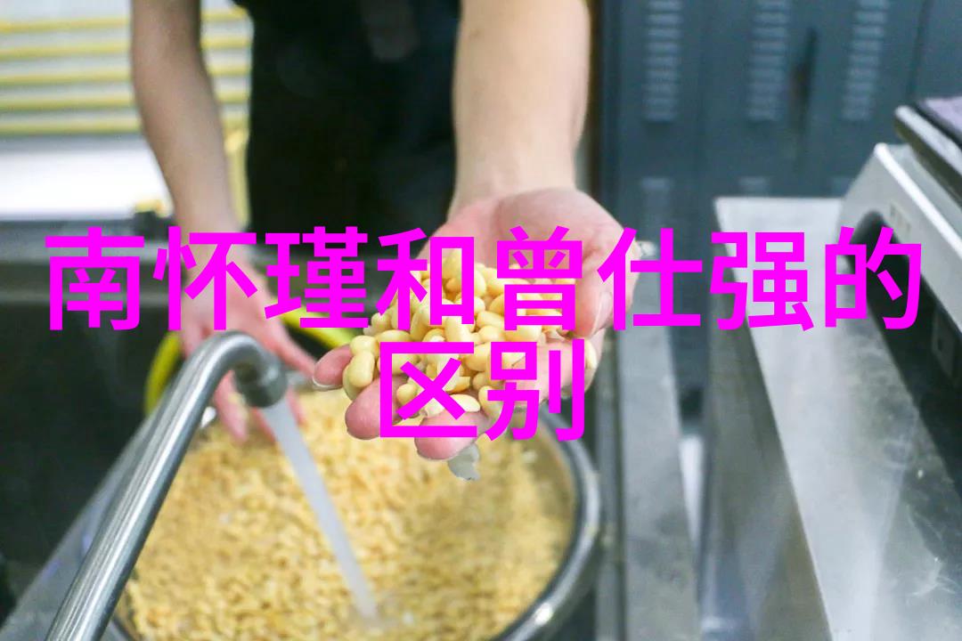 自然无为庄子对抗世俗有为的哲学探索