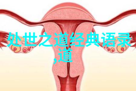 道家大师老子与庄周的智慧妙手