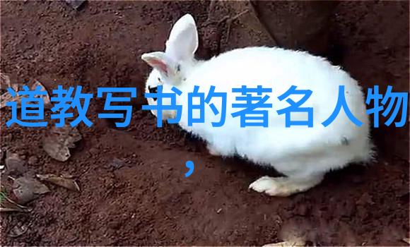 慈悲的极致心海涌动的无限同情