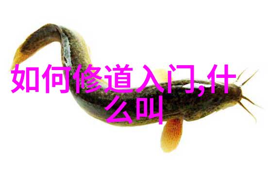 道法自然中国近代道家文化复兴的可能性