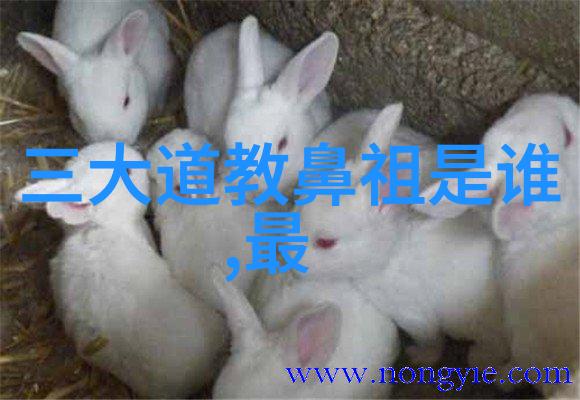 墨水里的笑话揭秘中国书法的幽默面纱
