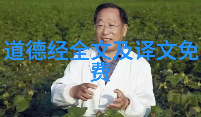 通往真谛的道路深入剖析道德經的心得体会与思考