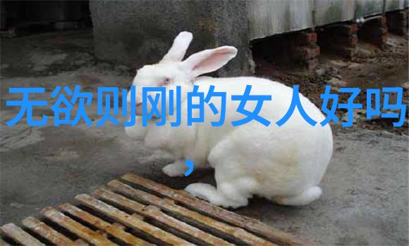 道教四大天师之谜