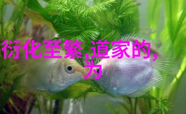道德经全文解读探索儒家智慧的经典之作