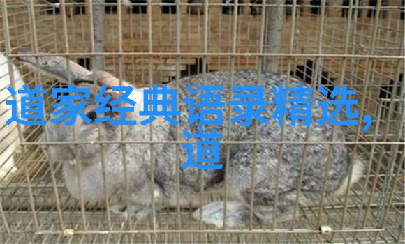 中国现代十大道教名人之谜他们的足迹又是怎样的