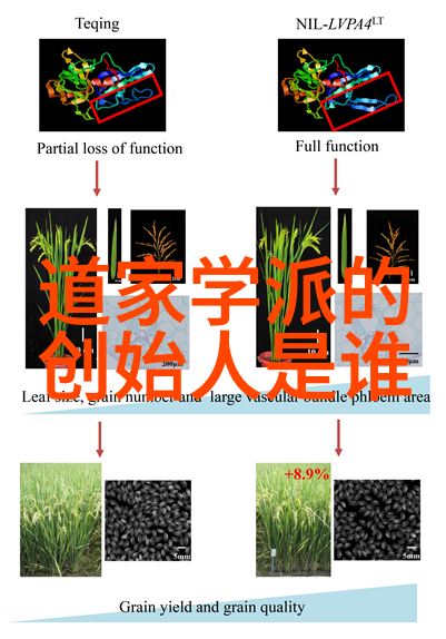 古籽录抄道德经的初见