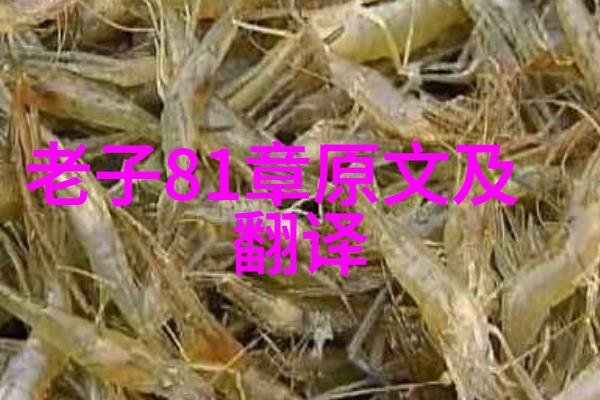 张载的天人合一道家哲学中的宇宙观