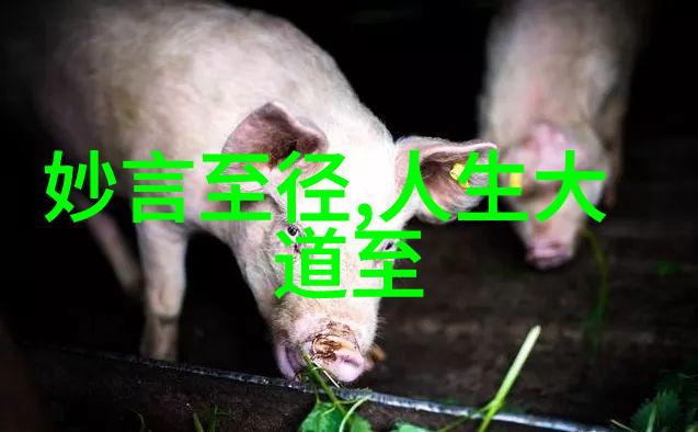 禁晚语解密念九字真言晚上不能念的秘密与意义