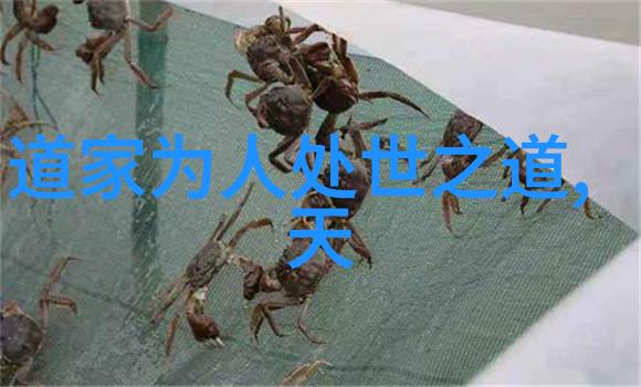 精益求精探索走心干净短句在学术写作中的应用与价值
