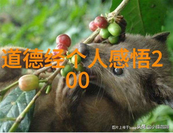 道教三大祖师爷老子张道陵黄帝的精神遗产
