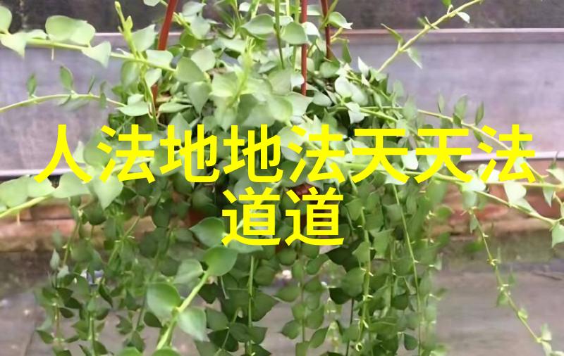 道家以无为而治为核心探索道家哲学的生动实践