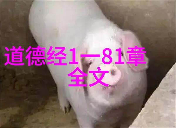 道家修炼-内丹术与气功揭秘道家修炼的奥秘