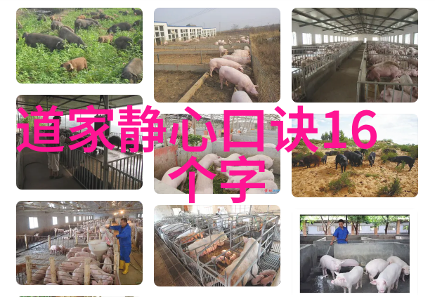 道法自然老子道德经的智慧与生活启示