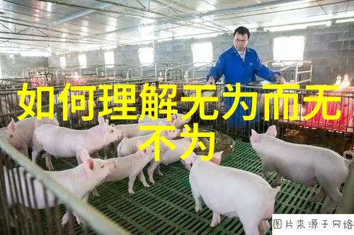 春秋战国道家代表人物和思想-探索古代智慧春秋战国时期道家思想的兴起与影响