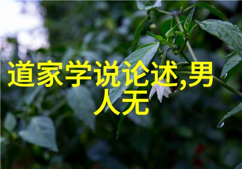 从庄子到列子如何理解道家思想的发展