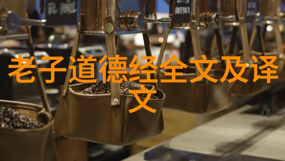 道家八段锦教学视频完整版揭秘古老武术的精髓与修炼法则