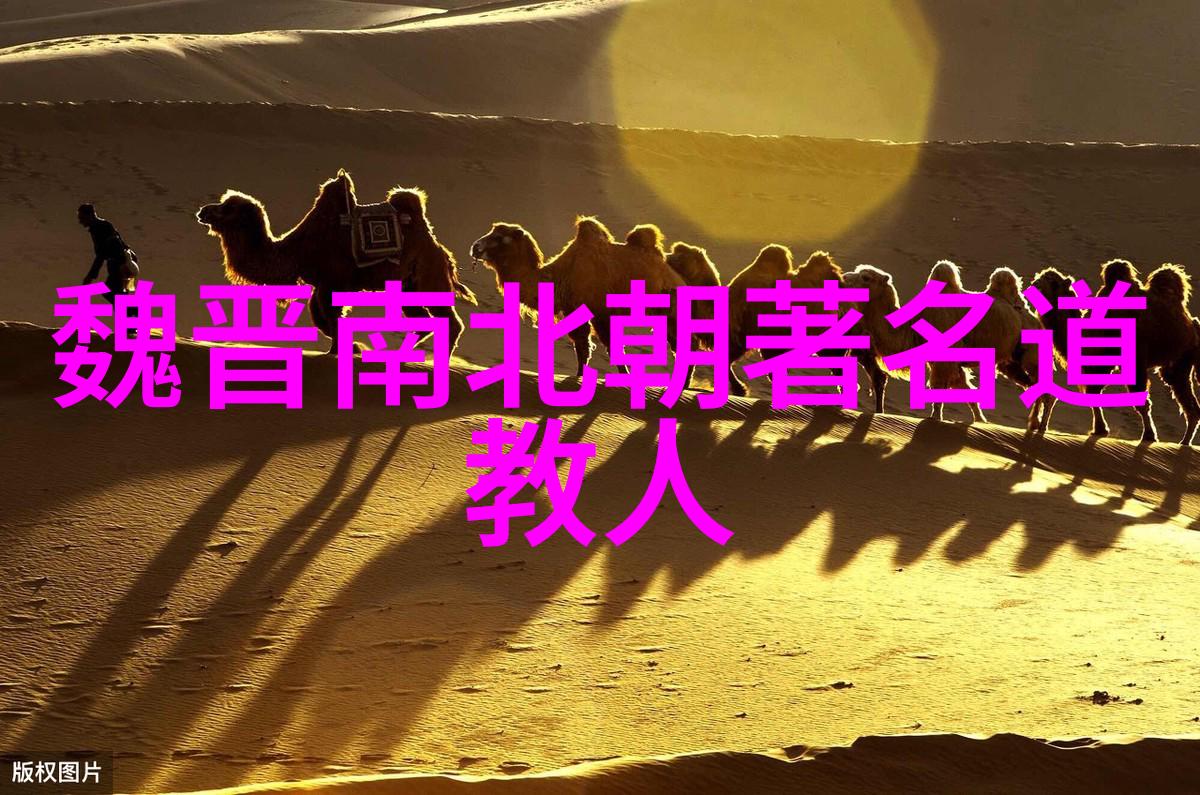 墨香浮动书法艺术的品味探究