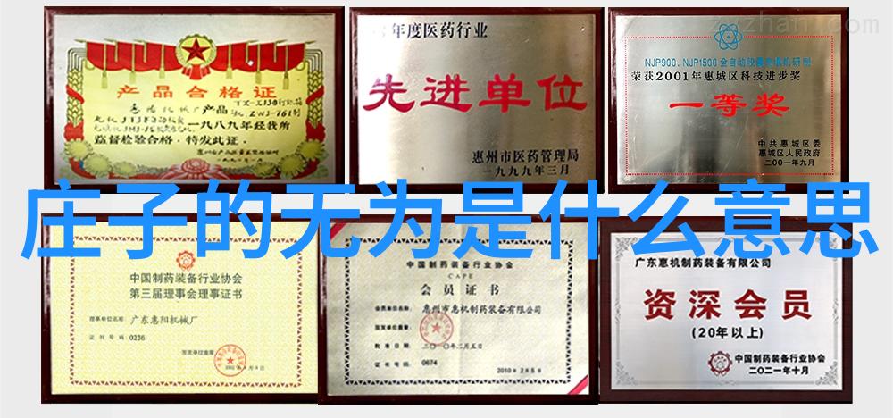 道家智慧的传承与普及从中国文化到全球视野