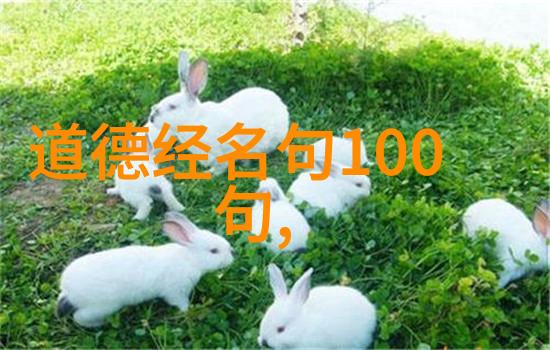 道教咒语大全 慎用 - 神秘咒语的力量与责任如何正确理解和使用道教咒语