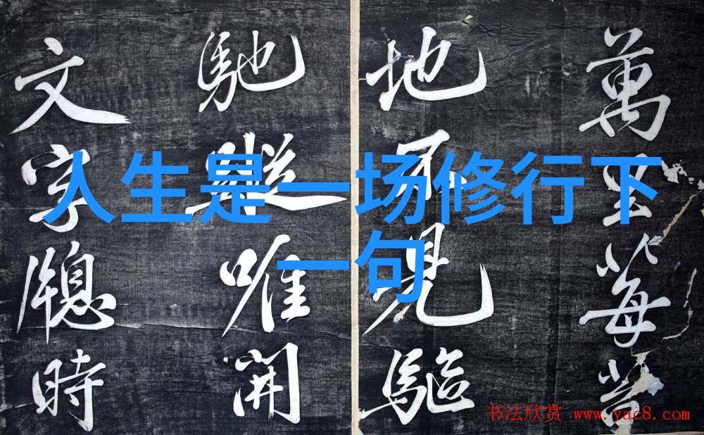 咒语的重奏九字真言之下的压力交响