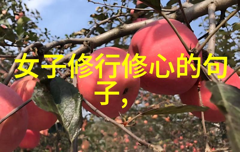 始于心终于行内省与外化的大道至简实践