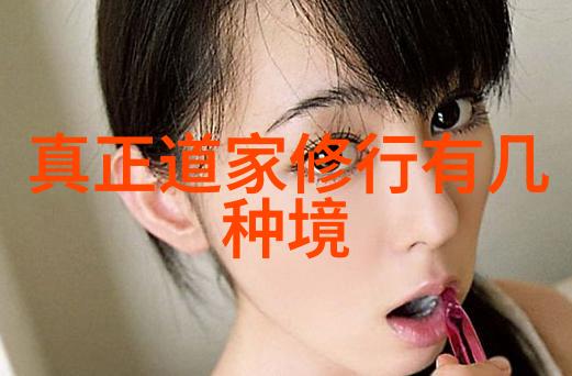 孟轲和儒家对抗汉朝时期的道家文化影响力分析