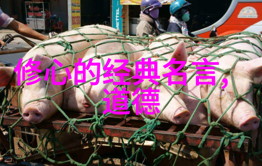 道融天地之神隐匿凡尘中