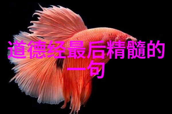 在茫茫人海中未曾相识的灵魂轻触而过