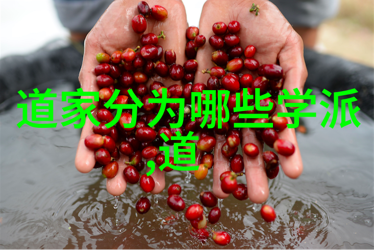 慈悲的最高境界无私赋能与他人的痛苦心怀同情之心助人为乐