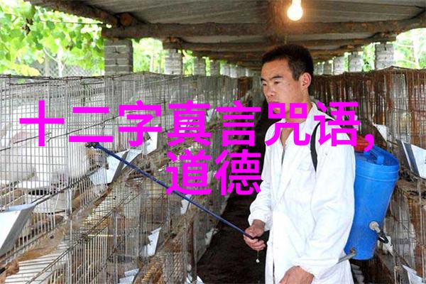 论张伯端的老学思想 刘固盛