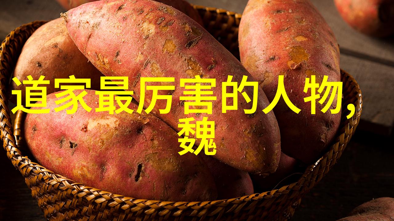 道教神仙隐逸修炼与天界游历