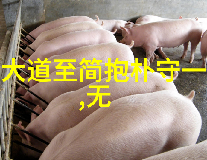 家中无人之际的自由探索