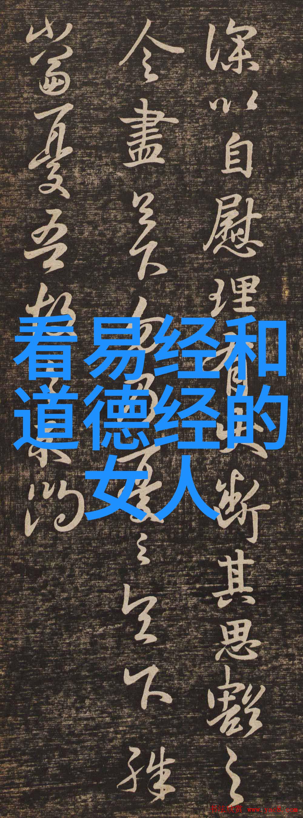从追逐到放下一个无欲女人的成长轨迹