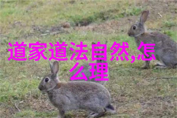 情感里的无欲则刚心灵深处的平衡之道探索内心世界中的力量与和谐