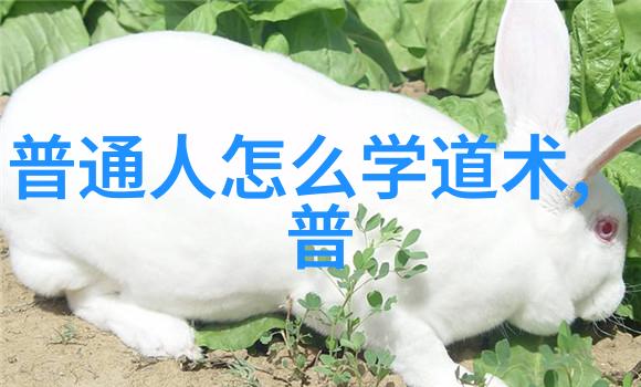 活出真我从道中悟出生命意义