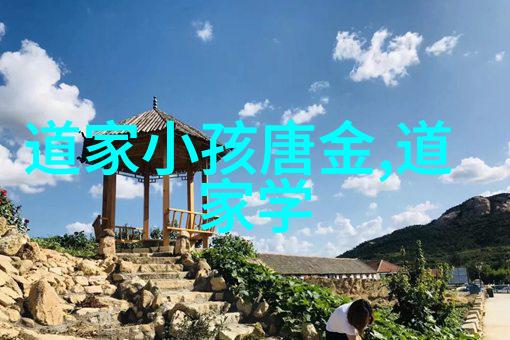 孙得一道德经背后的谜团与真相探究