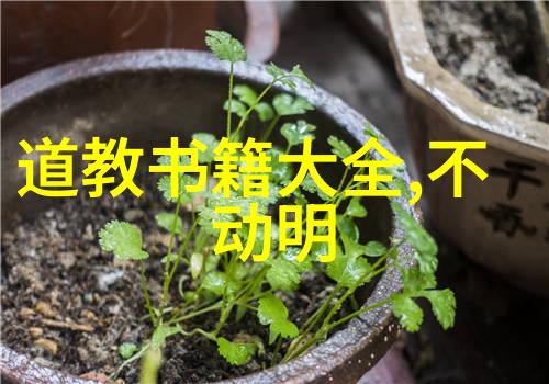 宋代道家代表人物探究从张道陵到王重阳的哲学与实践