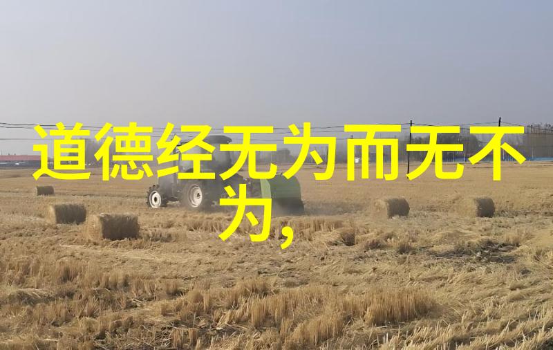 无欲则刚的女人-铁石心肠探索无欲之女性的坚韧世界