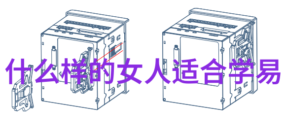 道德经第四十八章解析智慧的源泉与生活哲学