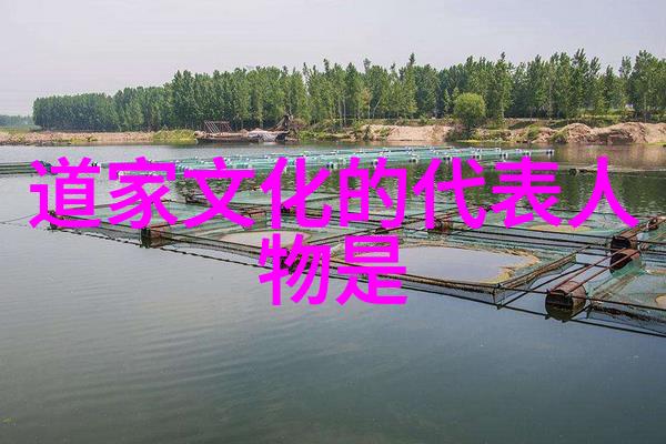 浅谈道教诗歌对中国传统诗歌的影响
