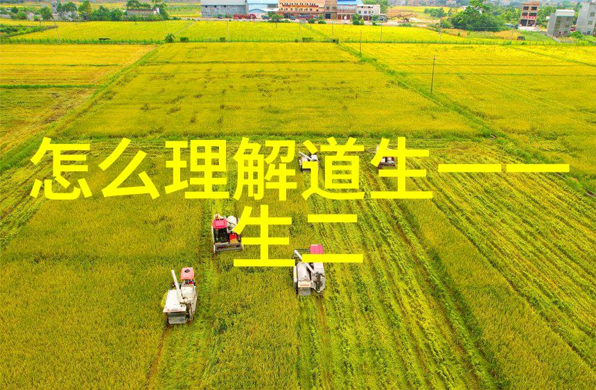 道家学者道家的知识体系与修炼实践