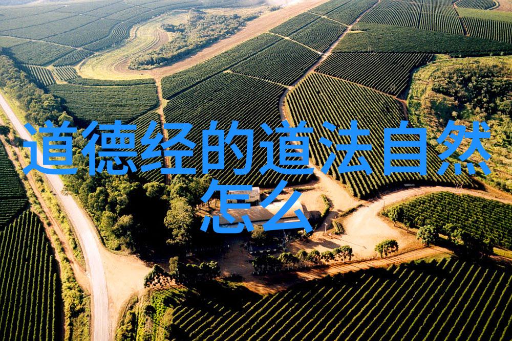 解读当代诗歌中的意象与符号现代诗歌作品欣赏的深度探究