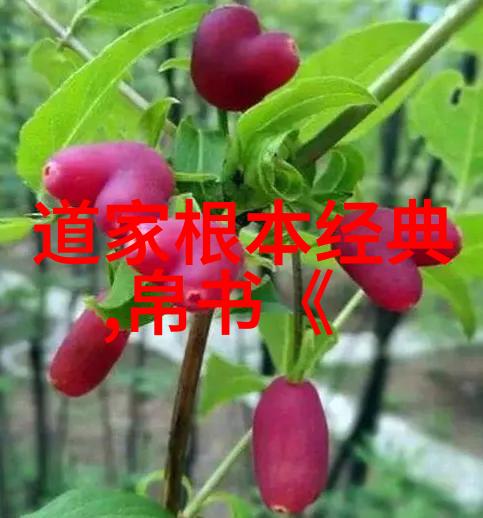 陈寔与礼运论道家伦理在儒家框架下的尝试
