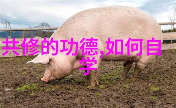 智者语录探索古人对道德的见解