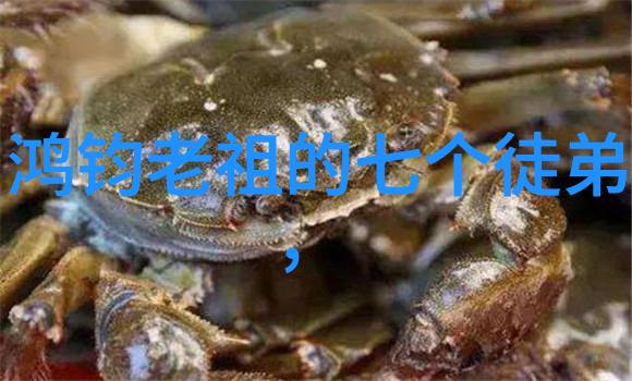 修道人之恋守誓与情深