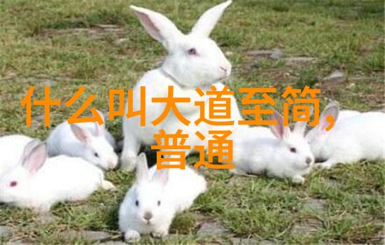 字里行间的智慧分析几首代表性修道式长篇叙事作品