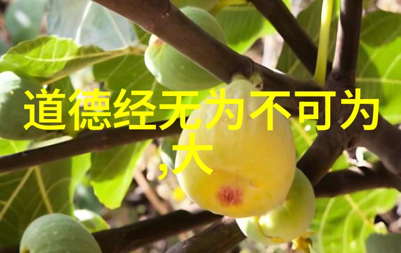 从字面到心灵道德经打印版带拼音阅读体验分享